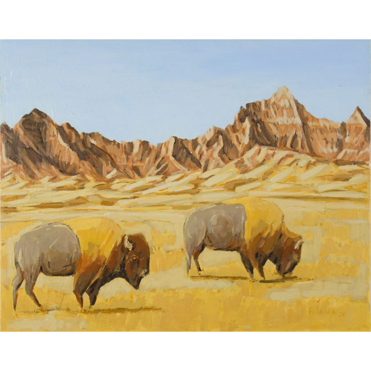 Badlands