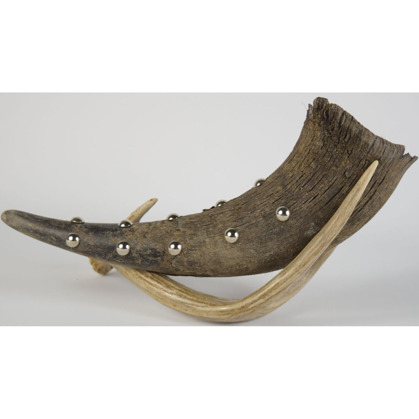 Buffalo Horn Sage Holder (5 tacks)