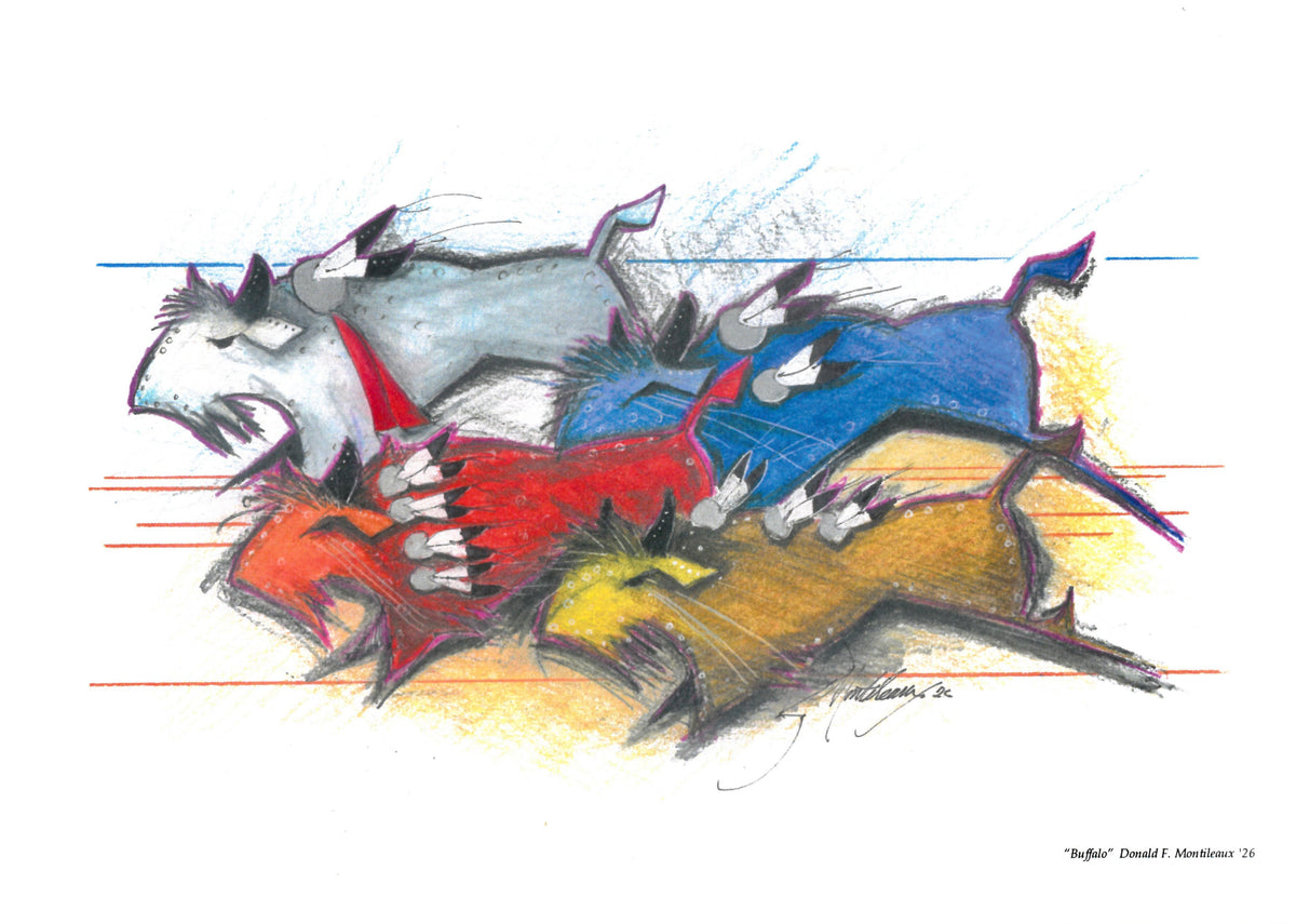 DM Buffalo Note Card