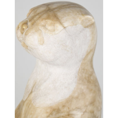 Young Otter in Mint