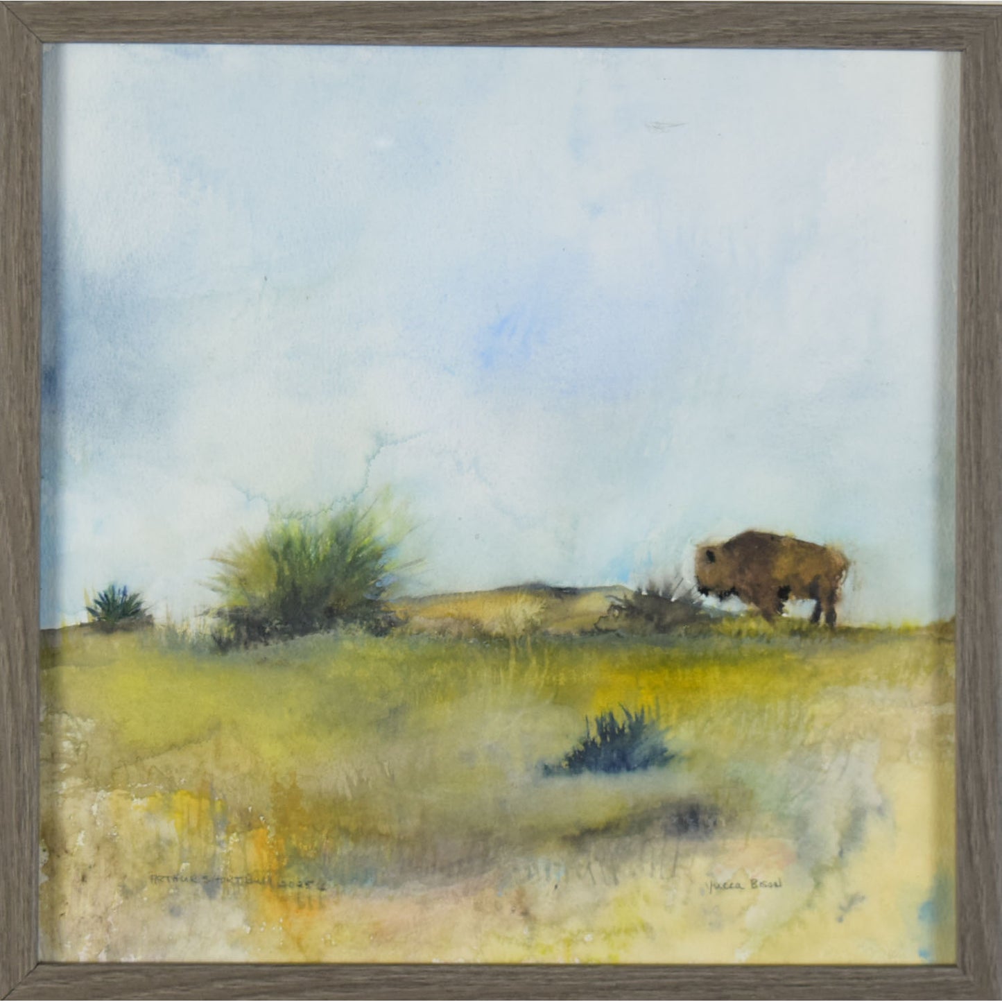 Yucca Bison