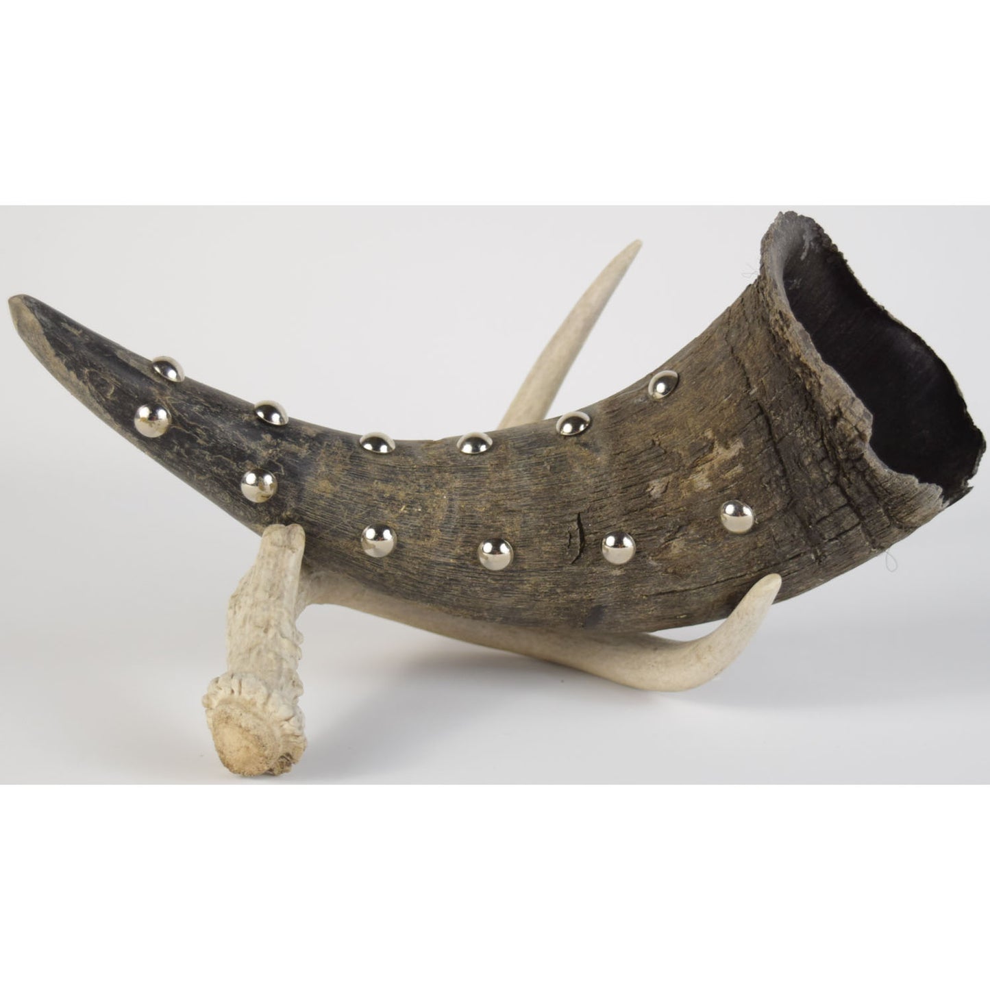 Buffalo Horn Sage Holder (6 tacks)