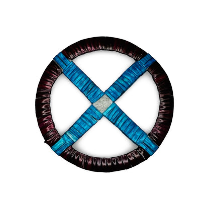 AP Medicine Wheels
