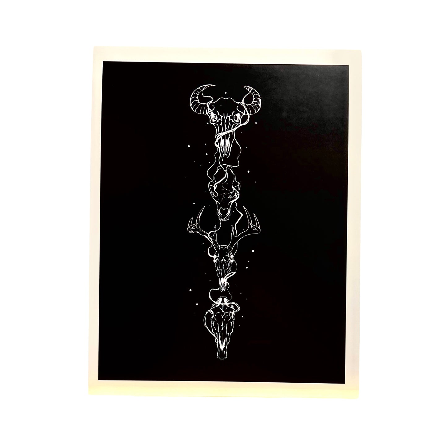 MGB Starlight Skulls Print