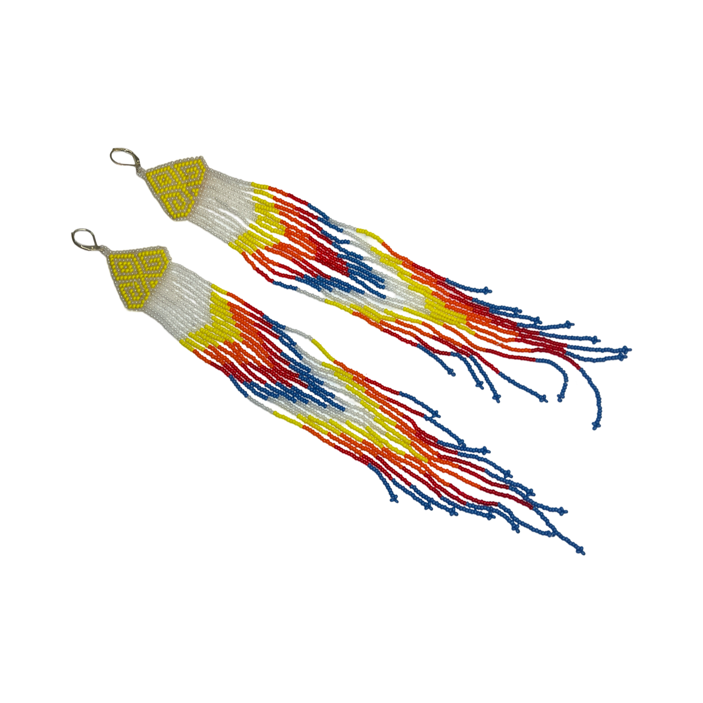 ABE Long Fringe Bead Earrings