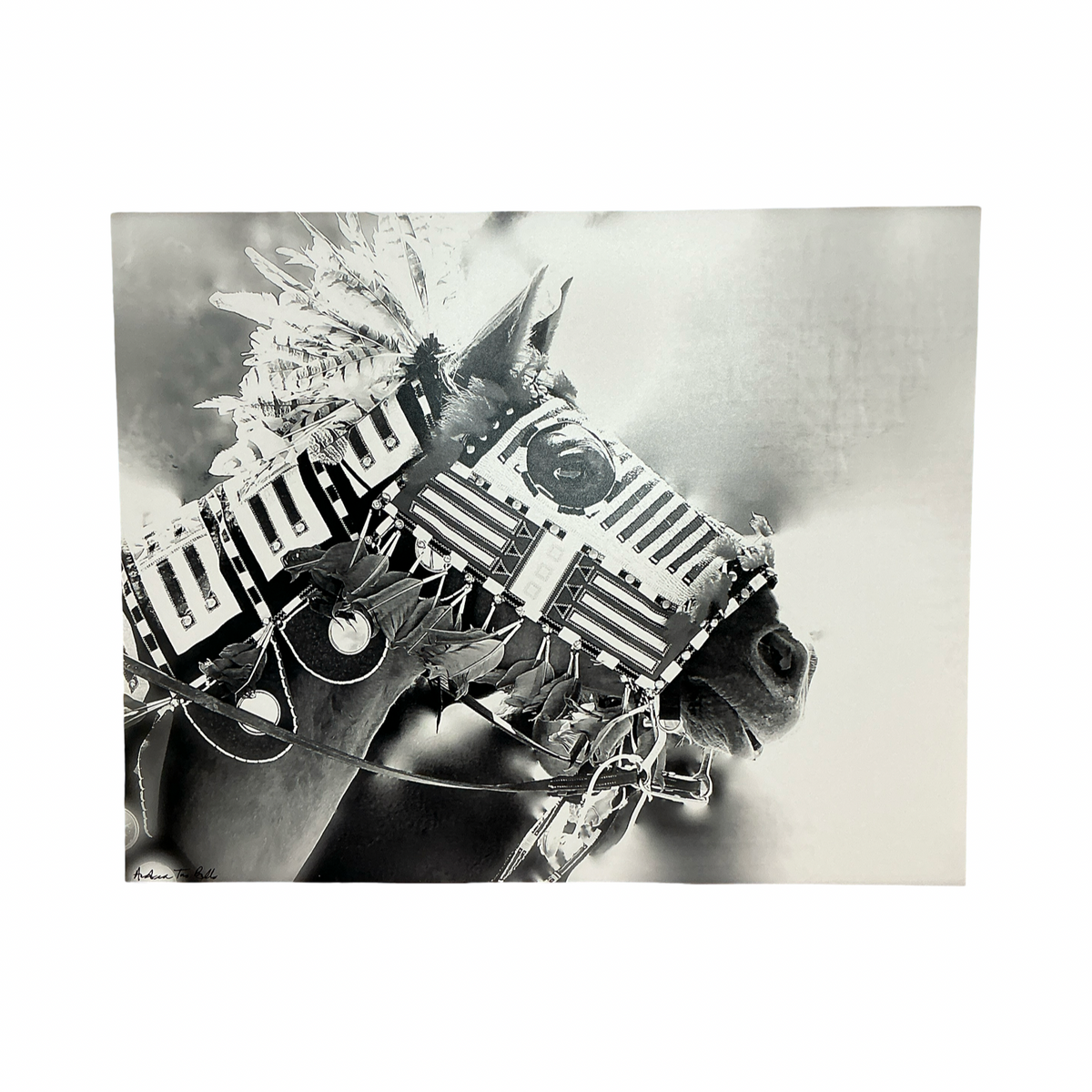 ATB Horse w/ Mask Photo Print