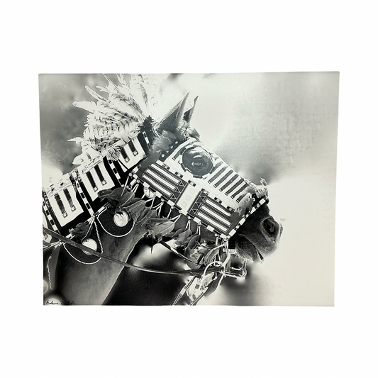ATB Horse w/ Mask Photo Print