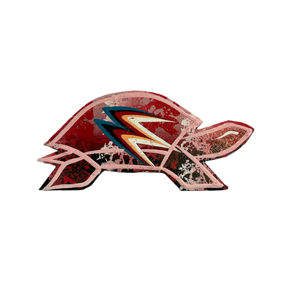 STB 4" Turtle Magnets