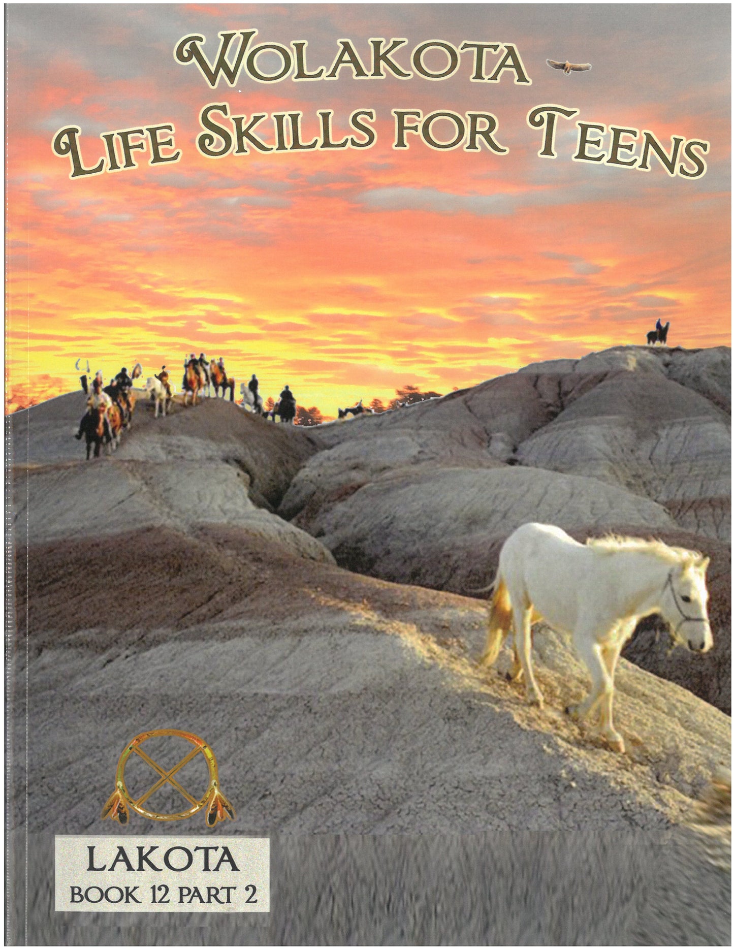 Wolakota- Life Skills for Teens: Grade 12 (Part 2)
